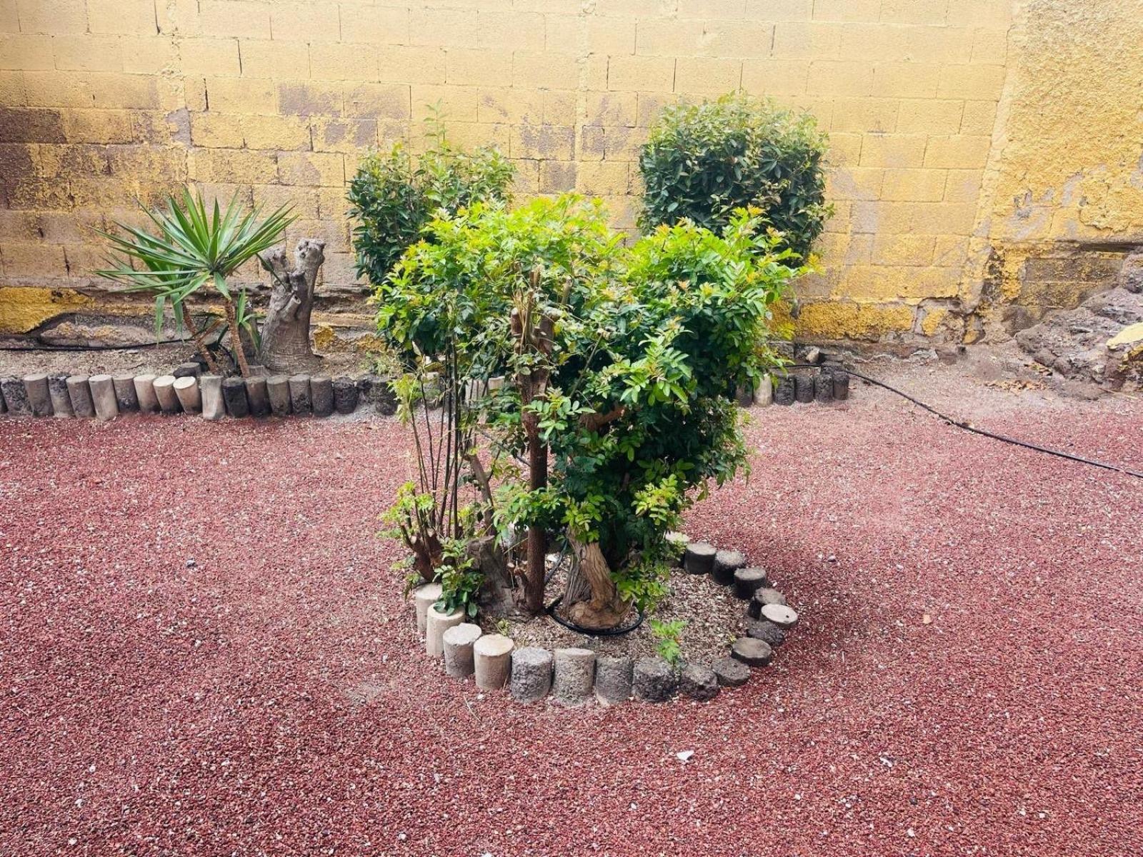 Cozy 2-Bed & Sofa-Bed Studio In Los Cristianos Eksteriør bilde